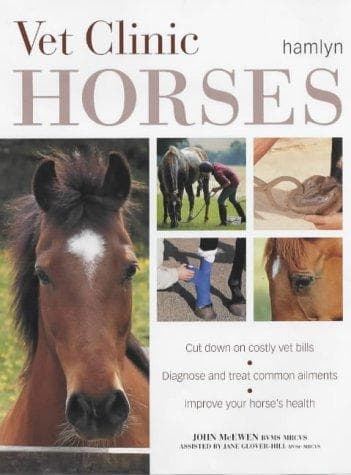 Tapa de Horses (Vet Clinic)