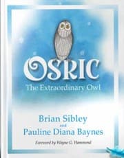 Tapa de Osric the Extraordinary Owl