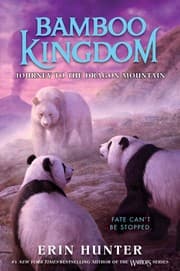 Tapa de Journey to the Dragon Mountain