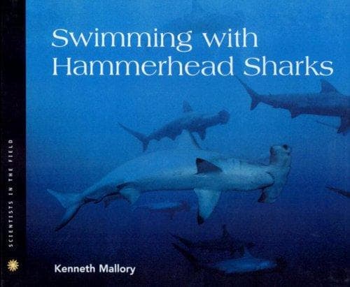 Tapa de Swimming with Hammerhead Sharks