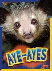 Tapa de Aye-Ayes