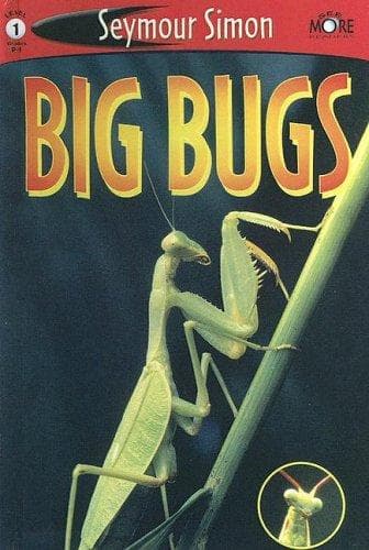 Tapa de Big Bugs