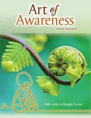 Tapa de THE ART OF AWARENESS