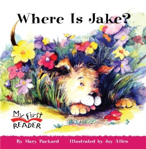 Tapa de Where Is Jake?