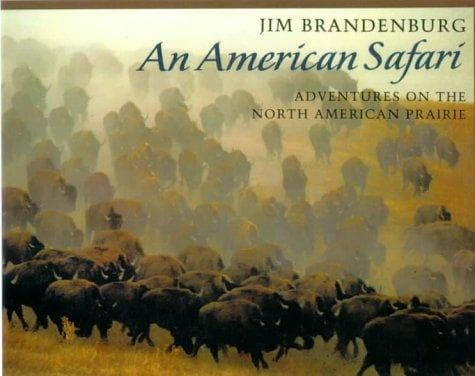Tapa de An American Safari
