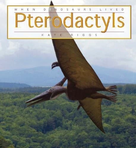 Tapa de Pterodactyl