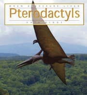 Tapa de Pterodactyl