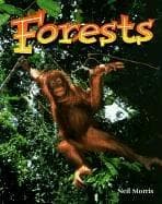 Tapa de Forests (Wonders of Our World)