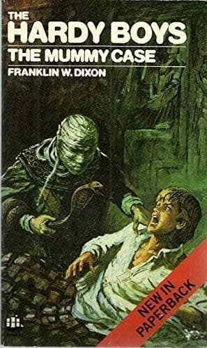 Tapa de The mummy case