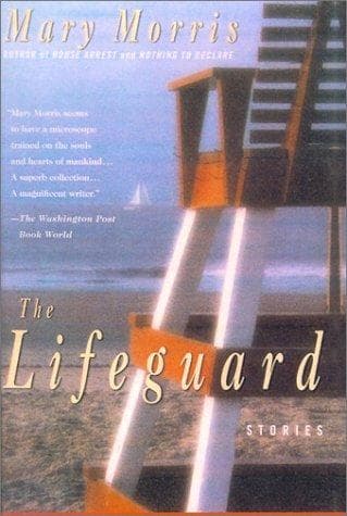 Tapa de The Lifeguard