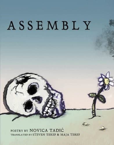 Tapa de Assembly