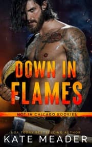 Tapa de Down in Flames