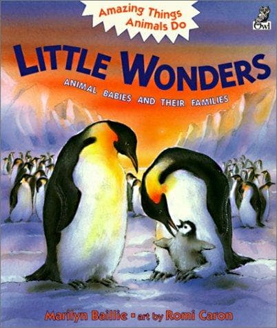 Tapa de Little Wonders
