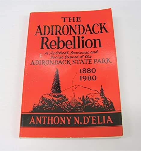 Tapa de The Adirondack Rebellion