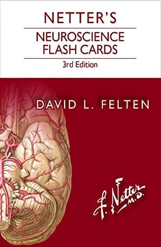 Tapa de Netter's Neuroscience Flash Cards