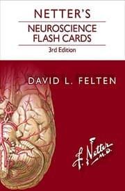 Tapa de Netter's Neuroscience Flash Cards