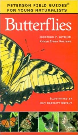 Tapa de Butterflies