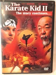 Tapa de The karate kid