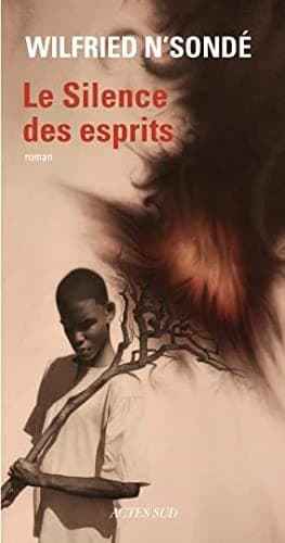 Tapa de Le silence des esprits