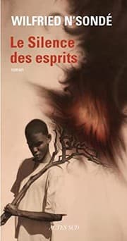 Tapa de Le silence des esprits