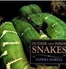 Tapa de Outside and Inside Snakes