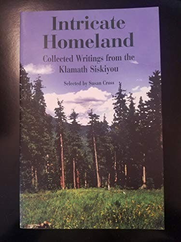 Tapa de Intricate Homeland