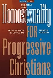 Tapa de Bible and Homosexuality for Progressive Christians