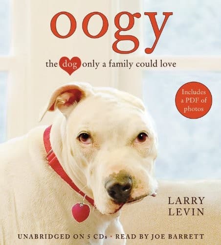 Tapa de Oogy