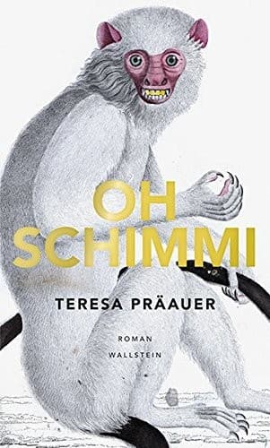 Tapa de Oh Schimmi