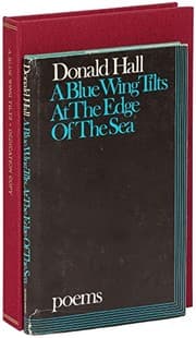 Tapa de A blue wing tilts at the edge of the sea