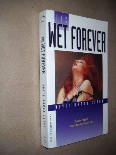 Tapa de The Wet Forever