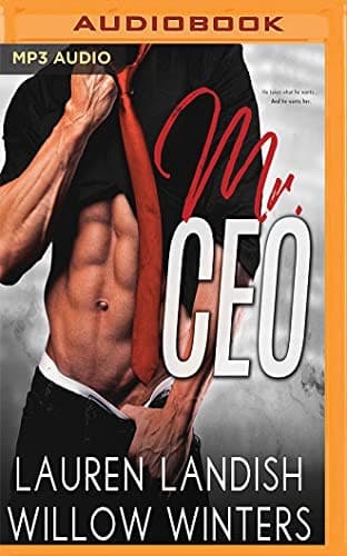 Tapa de Mr. CEO