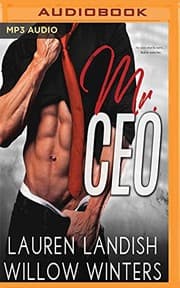 Tapa de Mr. CEO
