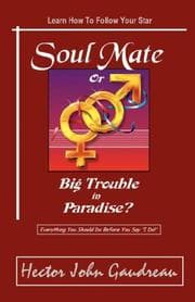 Tapa de Soul Mate