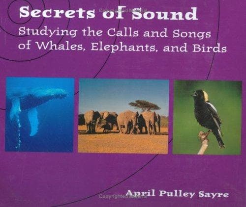 Tapa de Secrets of Sound