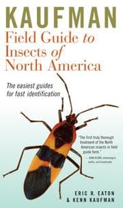 Tapa de Kaufman field guide to insects of North America