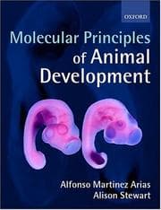 Tapa de Molecular principles of animal development