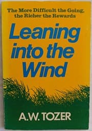Tapa de Leaning Into the Wind
