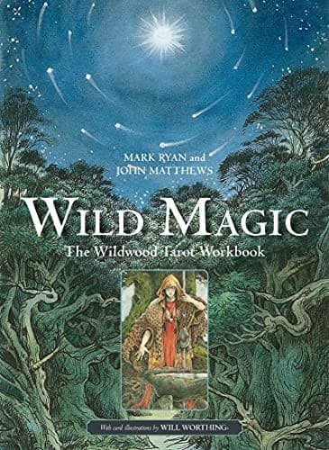 Tapa de Wild Magic
