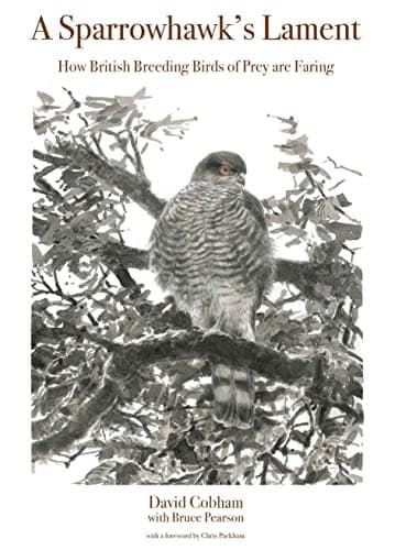 Tapa de Sparrowhawk's Lament