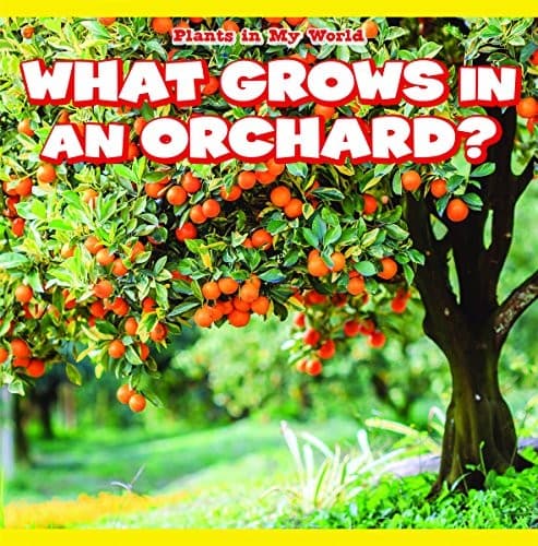 Tapa de What Grows in an Orchard?