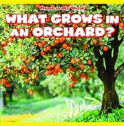 Tapa de What Grows in an Orchard?