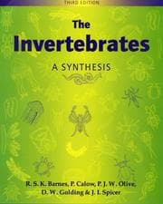 Tapa de The invertebrates
