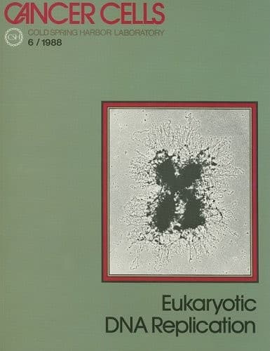 Tapa de Eukaryotic DNA replication