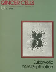Tapa de Eukaryotic DNA replication