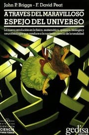 Tapa de A través del maravilloso espejo del universo