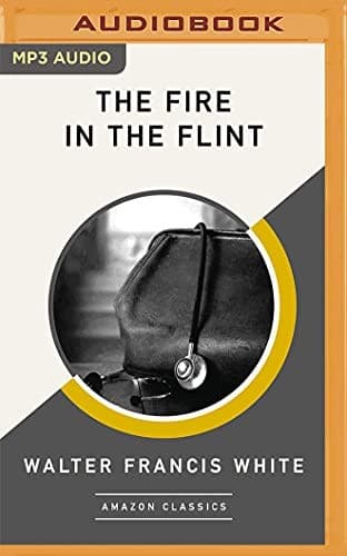 Tapa de The Fire in the Flint