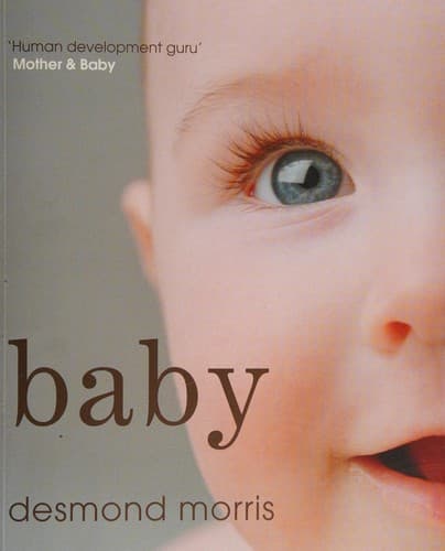 Tapa de Baby