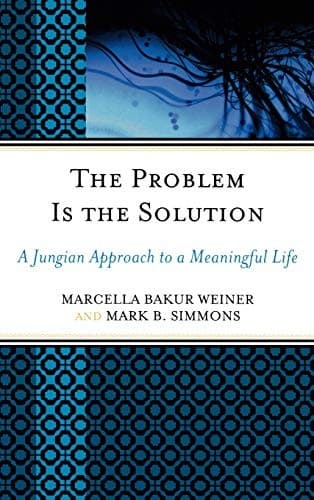 Tapa de The problem is the solution