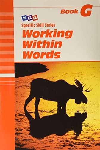 Tapa de Working Within Words
